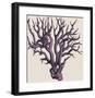 Radiant Coral III-Maria Mendez-Framed Art Print