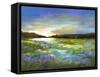 Radiant Evening-Sheila Finch-Framed Stretched Canvas