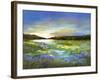 Radiant Evening-Sheila Finch-Framed Art Print