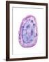 Radiant Geode I-Naomi McCavitt-Framed Art Print