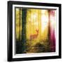 Radiant Light II-Tom Frazier-Framed Giclee Print