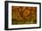 Radiant Maple II-Don Schwartz-Framed Photographic Print