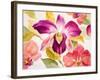 Radiant Orchid I-Lanie Loreth-Framed Art Print