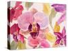 Radiant Orchid II-Lanie Loreth-Stretched Canvas