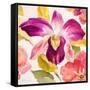 Radiant Orchid Square I-Lanie Loreth-Framed Stretched Canvas