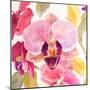 Radiant Orchid Square II-Lanie Loreth-Mounted Premium Giclee Print