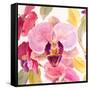 Radiant Orchid Square II-Lanie Loreth-Framed Stretched Canvas