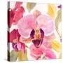 Radiant Orchid Square II-Lanie Loreth-Stretched Canvas