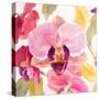 Radiant Orchid Square II-Lanie Loreth-Stretched Canvas