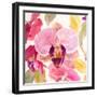 Radiant Orchid Square II-Lanie Loreth-Framed Art Print