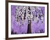 Radiant Orchid Tree-Blenda Tyvoll-Framed Giclee Print