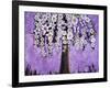 Radiant Orchid Tree-Blenda Tyvoll-Framed Giclee Print