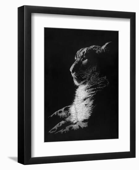 Radiant Phantom-Barbara Keith-Framed Premium Giclee Print