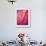 Radiant Pink Tulip I-Ella Lancaster-Framed Giclee Print displayed on a wall
