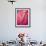 Radiant Pink Tulip I-Ella Lancaster-Framed Giclee Print displayed on a wall