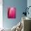 Radiant Pink Tulip II-Ella Lancaster-Giclee Print displayed on a wall