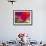 Radiant Poppy II-Ella Lancaster-Framed Giclee Print displayed on a wall