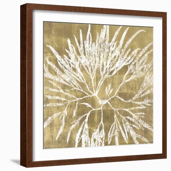 Radiant Reef I-Maria Mendez-Framed Giclee Print