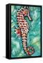 Radiant Seahorse I-Carolee Vitaletti-Framed Stretched Canvas