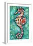 Radiant Seahorse II-Carolee Vitaletti-Framed Art Print