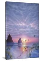 Radiant Seashore-Kirk Reinert-Stretched Canvas