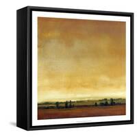 Radiant Sky I-Tim O'toole-Framed Stretched Canvas