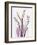 Radiant Snowdrops 4-Albert Koetsier-Framed Photographic Print