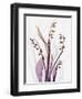 Radiant Snowdrops 4-Albert Koetsier-Framed Photographic Print