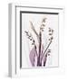 Radiant Snowdrops 4-Albert Koetsier-Framed Photographic Print