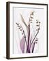 Radiant Snowdrops 4-Albert Koetsier-Framed Premium Photographic Print