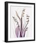 Radiant Snowdrops 4-Albert Koetsier-Framed Photographic Print