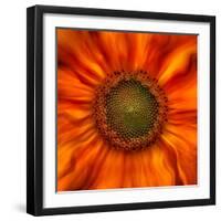 Radiant Warmth-Ursula Abresch-Framed Photographic Print