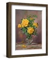 Radiant Yellow Roses-Albert Williams-Framed Giclee Print