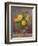 Radiant Yellow Roses-Albert Williams-Framed Giclee Print