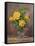 Radiant Yellow Roses-Albert Williams-Framed Stretched Canvas