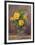 Radiant Yellow Roses-Albert Williams-Framed Giclee Print