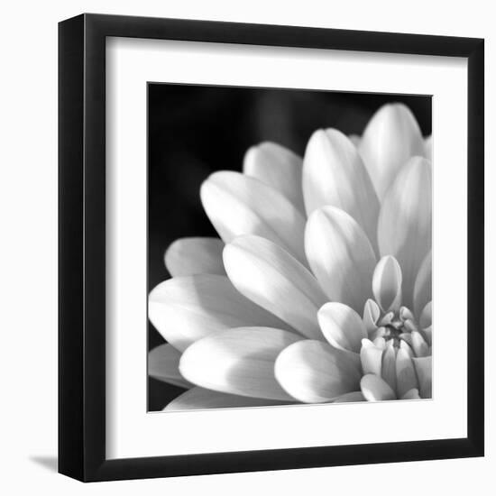 Radiating Petals-null-Framed Art Print