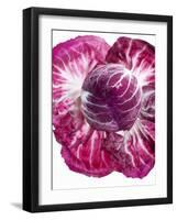 Radicchio-Andreas Wegelin-Framed Premium Photographic Print