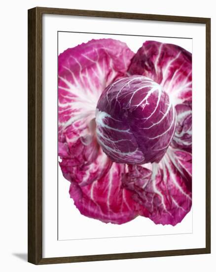 Radicchio-Andreas Wegelin-Framed Photographic Print