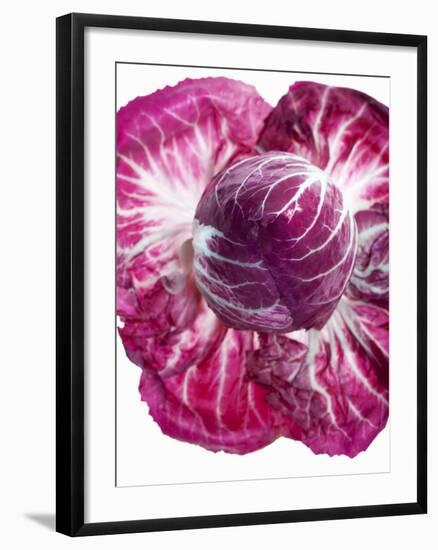 Radicchio-Andreas Wegelin-Framed Photographic Print