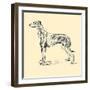 Radicome The Greyhound-Lucy Dawson-Framed Art Print