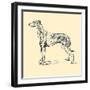 Radicome The Greyhound-Lucy Dawson-Framed Art Print