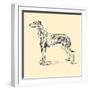 Radicome The Greyhound-Lucy Dawson-Framed Art Print