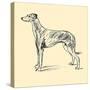 Radicome The Greyhound-Lucy Dawson-Stretched Canvas