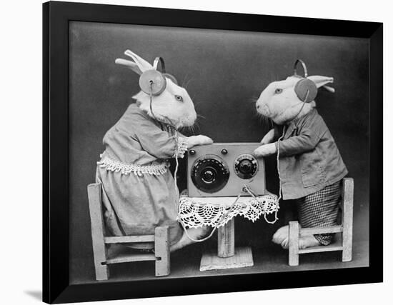 Radio Rabbits-null-Framed Premium Photographic Print