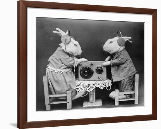 Radio Rabbits-null-Framed Photographic Print