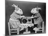 Radio Rabbits-null-Mounted Photographic Print