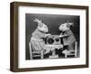 Radio Rabbits-null-Framed Photographic Print