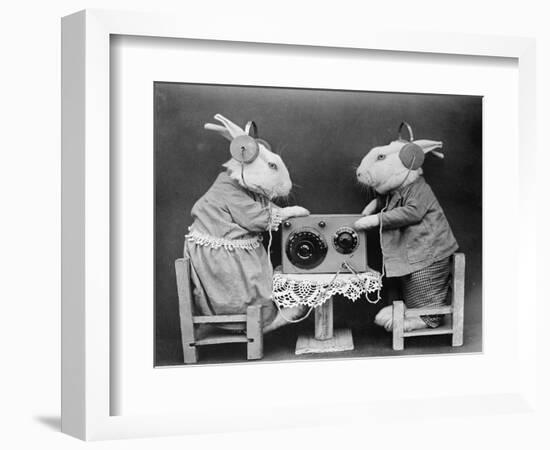 Radio Rabbits-null-Framed Photographic Print