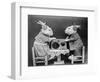 Radio Rabbits-null-Framed Photographic Print